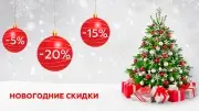 Новогодняя акция!