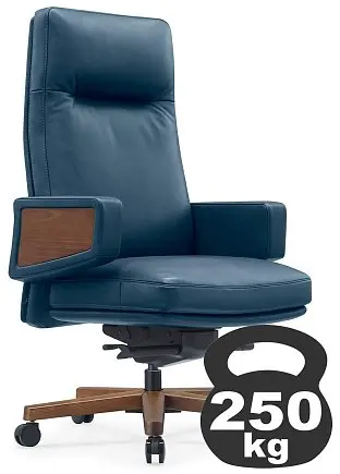 Кресло Rafael A2119 Синий | Защита-Офис - интернет-магазин сейфов, кресел, металлической 