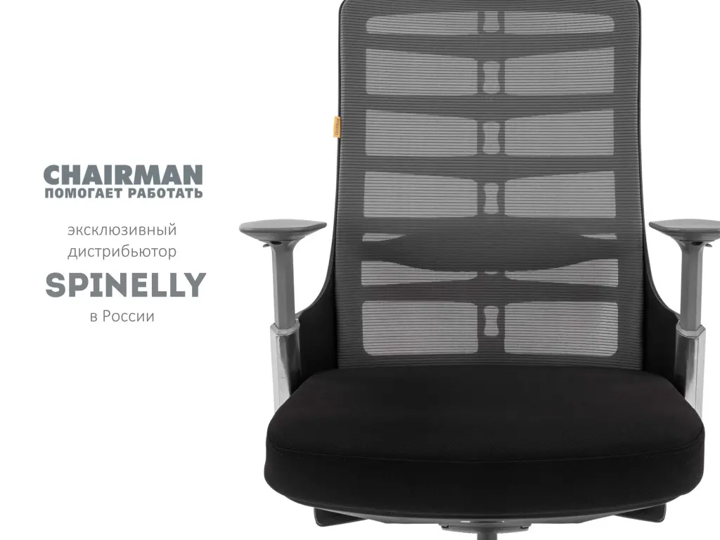 Презентация Spinelly (2)_07.jpg