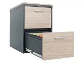 Картотека практик AFC-02LC | Защита-Офис - интернет-магазин сейфов, кресел, металлической 