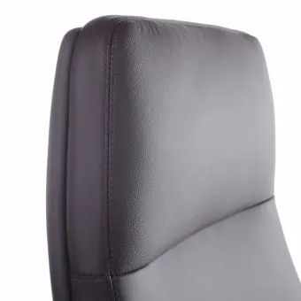 Кресло Alonzo A1711 Темно-коричневый | Защита-Офис Кресло Alonzo A1711 Темно-коричневый | Защита-Офис - интернет-магазин сейфов, кресел, металлической и офисной мебели в Казани и Йошкар-Оле