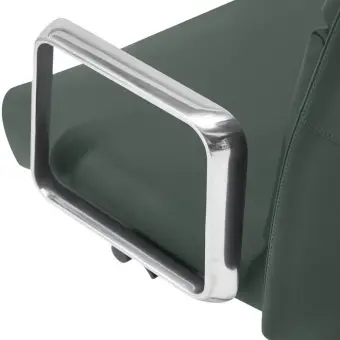 Кресло Newman A2415 Зеленый | Защита-Офис Кресло Newman A2415 Зеленый | Защита-Офис - интернет-магазин сейфов, кресел, металлической и офисной мебели в Казани и Йошкар-Оле