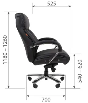 Кресло руководителя Chairman CH407 | Защита-Офис - интернет-магазин сейфов, кресел, металлической и офисной мебели в Казани и Йошкар-Оле