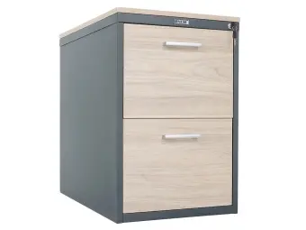 Картотека практик AFC-02LC | Защита-Офис - интернет-магазин сейфов, кресел, металлической и офисной мебели в Казани и Йошкар-Оле