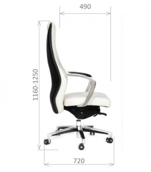 Кресло руководителя Chairman Basic, белый | Защита-Офис - интернет-магазин сейфов, кресел, металлической йцу
